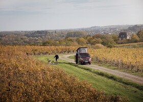 Renault Hanroad Trek 5