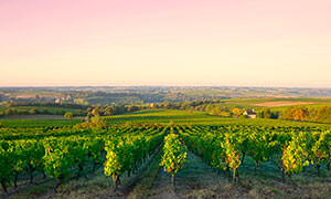 Location van aménagé Angers